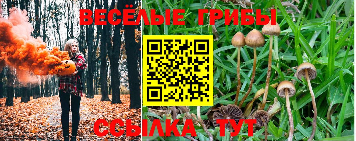 Галлюциногенные грибы прущие грибы Кохма